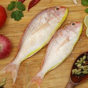 Sultan Ibrahim Fish per kg
